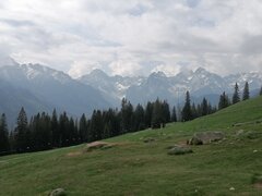 IMG_20230526_092113.jpg
