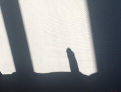 IMG_0247.jpeg