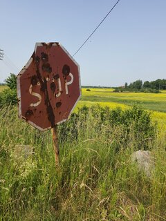 20220619_095927.jpg