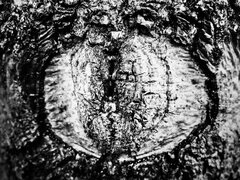 3F744FC2-2943-48A1-A8C8-E67837B02D63.jpeg
