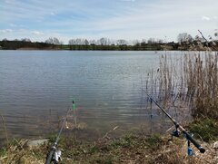 IMG_20240329_140629547.jpg