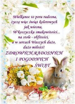 IMG_20240330_105028.jpg