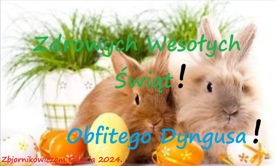 Najserdeczniejsze życzenia Świąteczne !!! - Morsy_dwa