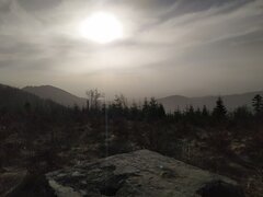 IMG_20240330_071003.jpg