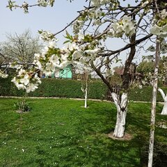 IMG20240331125523.jpg