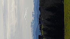 IMG-20240329-WA0003.jpeg