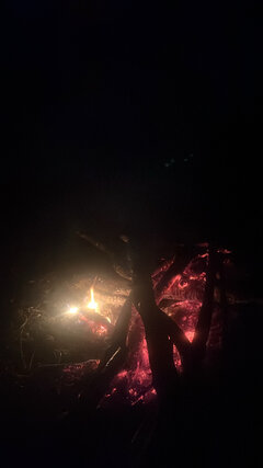 07BF20C1-4AC4-4F67-9514-006200268552.jpeg