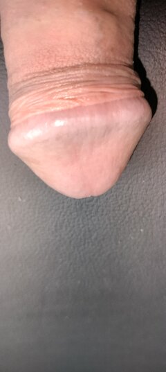 17120448685137531004649798796503.jpg