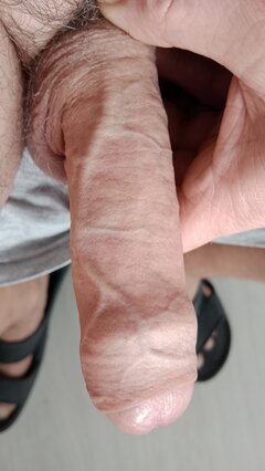 17120505660588784032437619473315.jpg