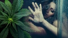 13-fun-facts-weed-sex-1.jpeg