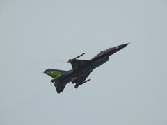 DSCN9733136.jpg