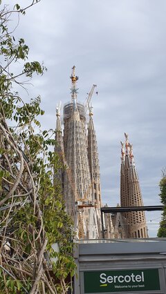20240402_173859.jpg