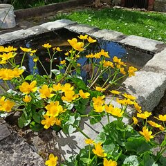 IMG20240403115210.jpg