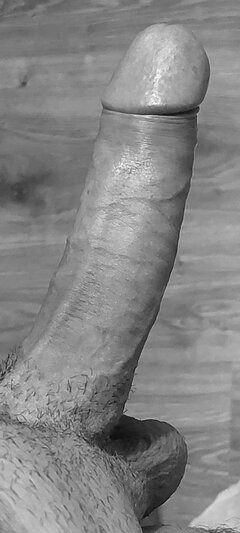 Screenshot_20240403_165858_Gallery.jpg