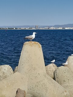 20230902_102558.jpg