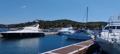 IMG_20220803_105907.jpg