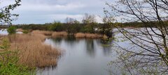 IMG_20240405_194116.jpg