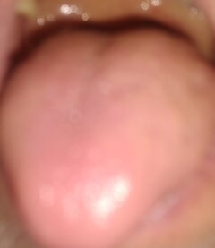 IMG_20240406_160935892.jpg