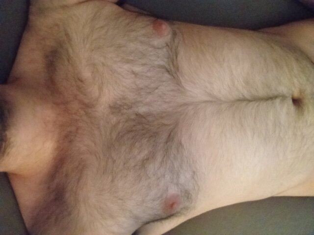 SubBear