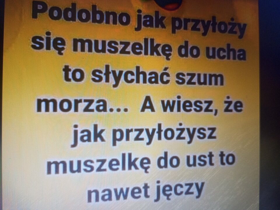 IMG_20240408_052713.jpg - Karina__Kr
