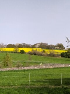 IMG_20240408_163407.jpg