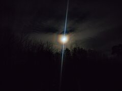 IMG_20240223_192451.jpg
