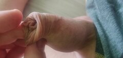 IMG_20240410_121149.jpg
