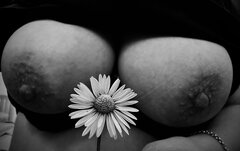 IMG_9759.jpeg