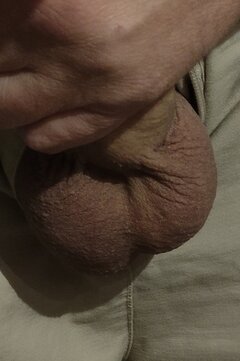IMG_20240412_221120.jpg