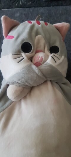 20240413_101529.jpg