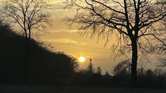 IMG_3373.jpeg