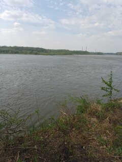 IMG_20240413_140834_122.jpg
