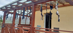 IMG-20240413-WA0017.jpg