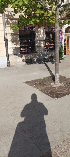 IMG_20240412_083515.jpg
