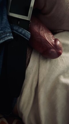 IMG_0595.jpeg