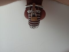 IMG_20240420_115537951_MFNR.jpg