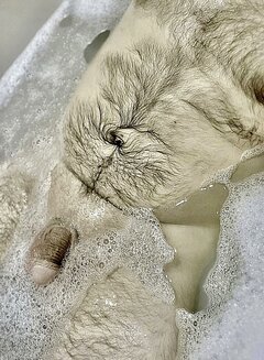 IMG_2097.jpeg