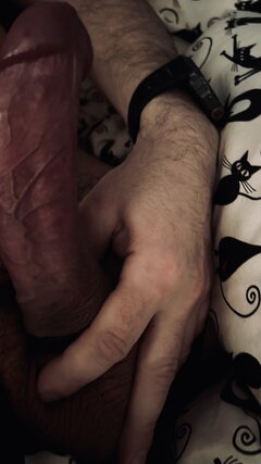 IMG_0647.jpeg