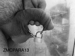 IMG_1272.jpeg