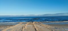 IMG_20240109_110212.jpg