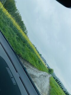 IMG_9896.jpeg