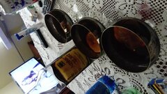 DSC_0503.JPG