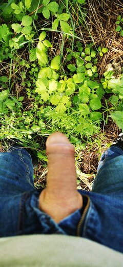 IMG_20240422_102826.jpg