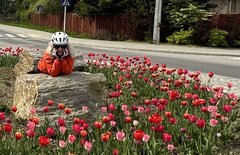 IMG_7009.jpeg