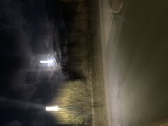 IMG_1899.jpeg
