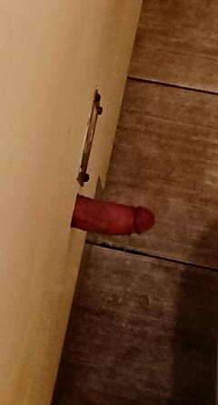 IMG_20240420_074326.jpg