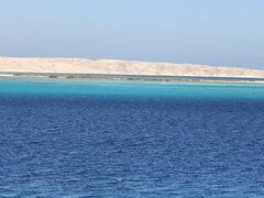 IMG_9298.jpeg