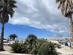 IMG_6195.jpeg