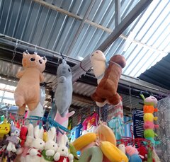 IMG_20240427_131014.jpg