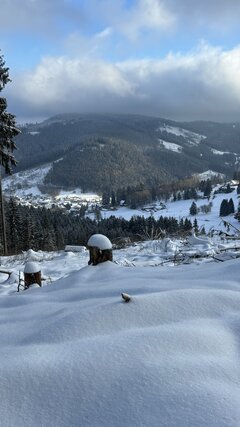 IMG_1225.jpeg